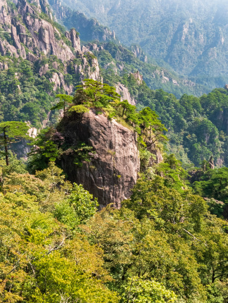 山景，黄山岩石，树木，夏天，黄山，安徽，黄山，中国，亚洲，股票照片图片下载