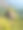 山景，黄山岩石，树木，夏天，黄山，安徽，黄山，中国，亚洲，股票照片图片下载
