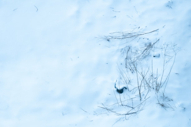 沙漠冬季景观，俯视图。雪原上，灌木的树枝伸出了雪。雪堆。图片下载