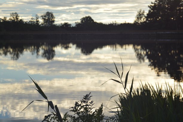 夜晚的湖图片下载