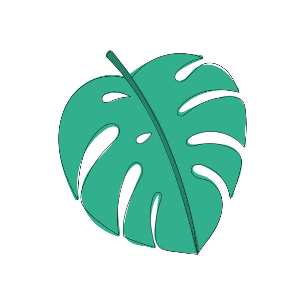 Monstera叶子孤立在白色背景上。矢量插图。热带的叶子图片下载