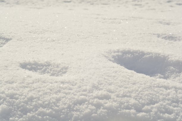 新雪的表面图片下载