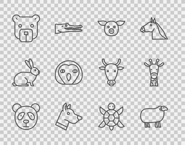 设置线可爱的熊猫脸，羊，猪，狗头，熊，猫头鹰鸟，乌龟和长颈鹿的图标。向量图片下载