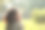 美丽的黑发年轻女子的肖像坐在绿色的草地在花园图片下载
