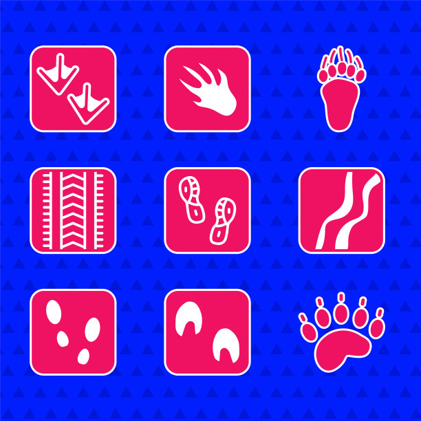 设置人的脚印鞋，马爪，熊，蛇，轮胎轨迹和鹅图标。向量图片下载
