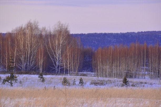 冬季景观对图片下载