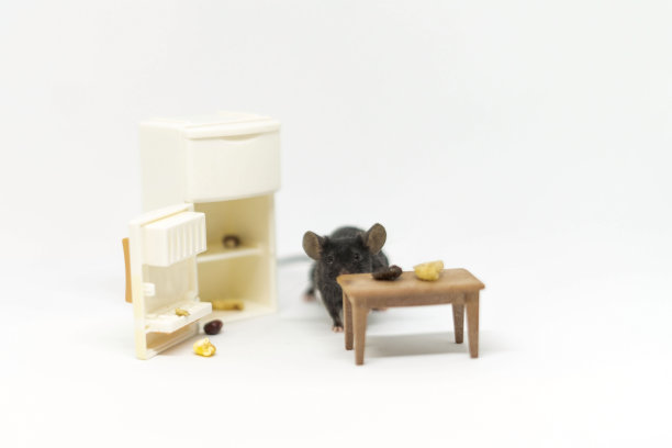 一只灰色的小老鼠在空冰箱里寻找食物。娃娃家具图片下载