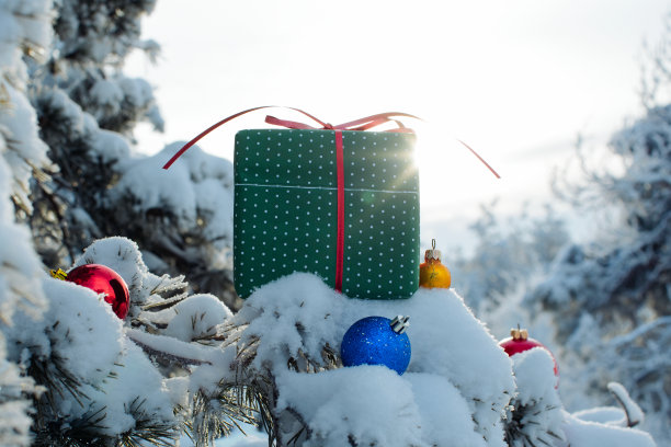 冬天的森林里，玩具和礼物包裹在被雪覆盖的树枝上，后面是模糊的冬天树的背景图片下载