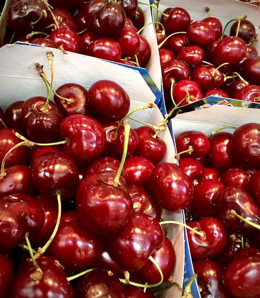 深红色的樱桃图片下载