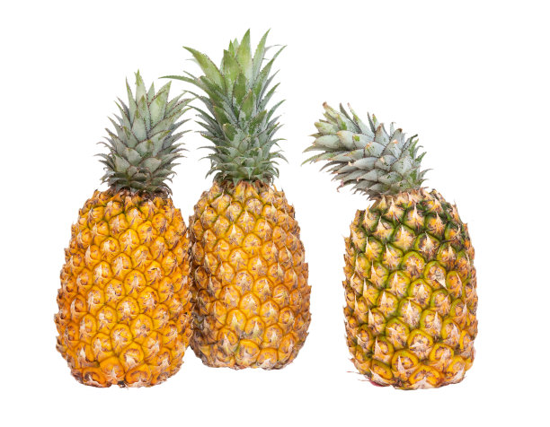 三个新鲜的菠萝被分离出来图片下载