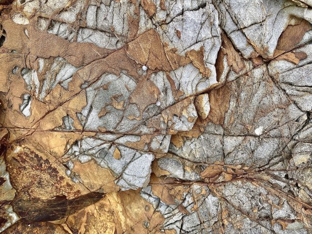 海滩岩石中的抽象图案图片下载