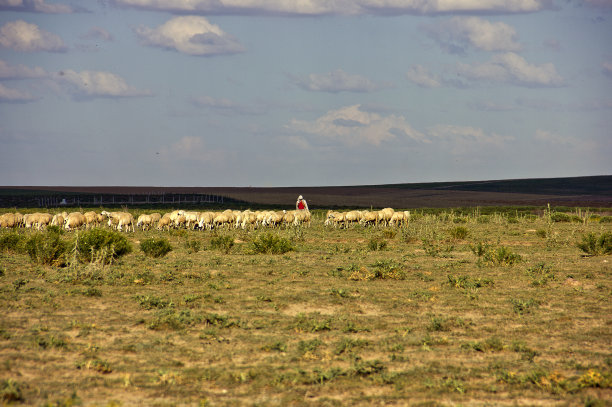 草原风景图片下载