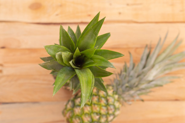木桌上的菠萝水平图片。副本的空间。俯视图图片下载