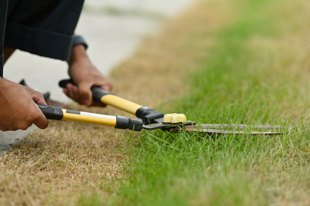 裁剪的形象的园丁的手使用草坪剪刀在草地上。图片下载