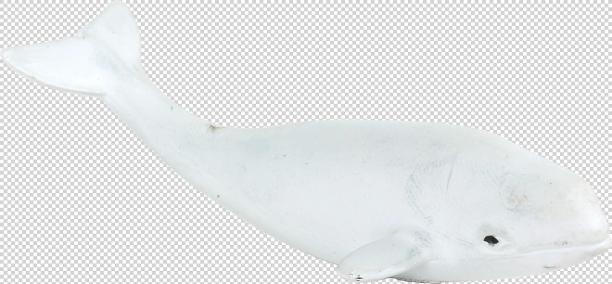 实物免扣图像元素图片下载