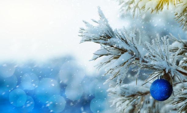 冬天森林里被雪覆盖的树枝上挂着一个圣诞玩具。下雪图片下载