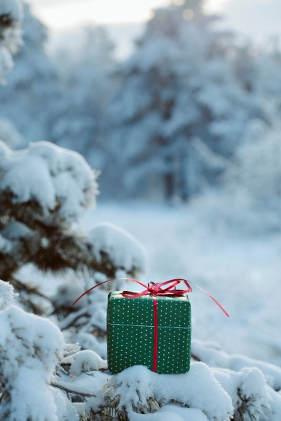 在冬天白雪覆盖的森林里的云杉树枝上送礼物图片下载