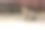 一只宠物猫坐在院子里的地上图片下载