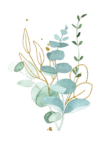 水彩绘画。芳香，桉树叶成分。绿色和金色的热带树叶复古风格图片下载