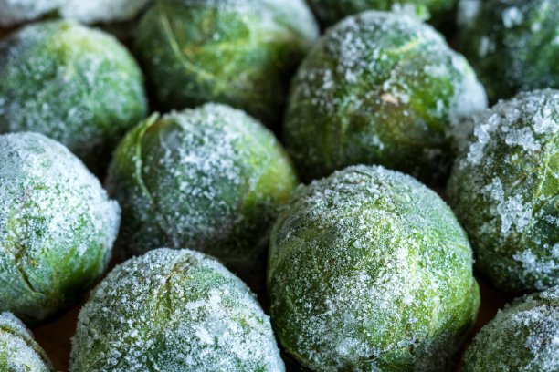 冰冻球芽甘蓝背景特写图片下载