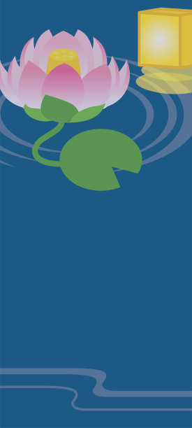 水面上的莲花。图片下载