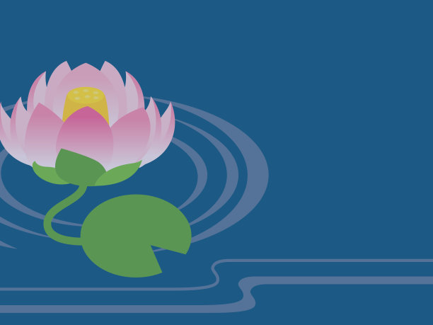 水面上的莲花。图片下载