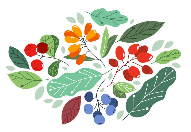 野生浆果新鲜成熟美味的健康食品与叶矢量平坦风格插图孤立过白色，美味的植物饮食吃，大自然的礼物。图片下载