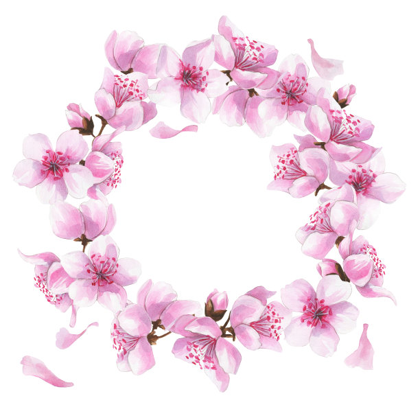手绘水彩画浪漫花环与粉红色樱花。图片下载