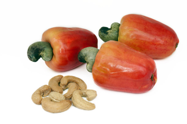 新鲜的腰果和它的坚果，白色的背景图片下载