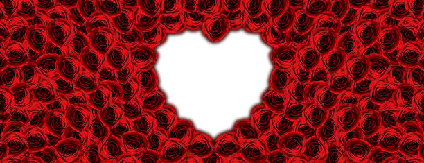 背景从玫瑰花蕾与心脏插入文本图片下载