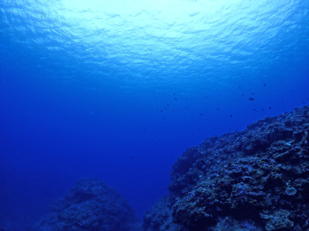石垣岛的海底图片下载