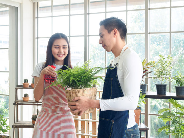 植物夫妇的花园图片下载