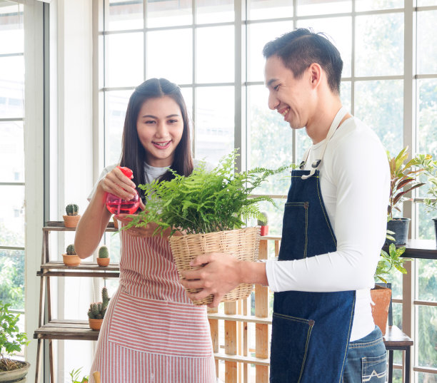 植物夫妇的花园图片下载