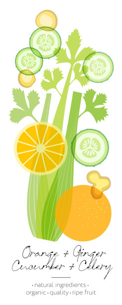 水果、草药和蔬菜排毒。黄瓜，橘子，芹菜和姜的混合物。美丽透明的整个和切开的水果。图片下载