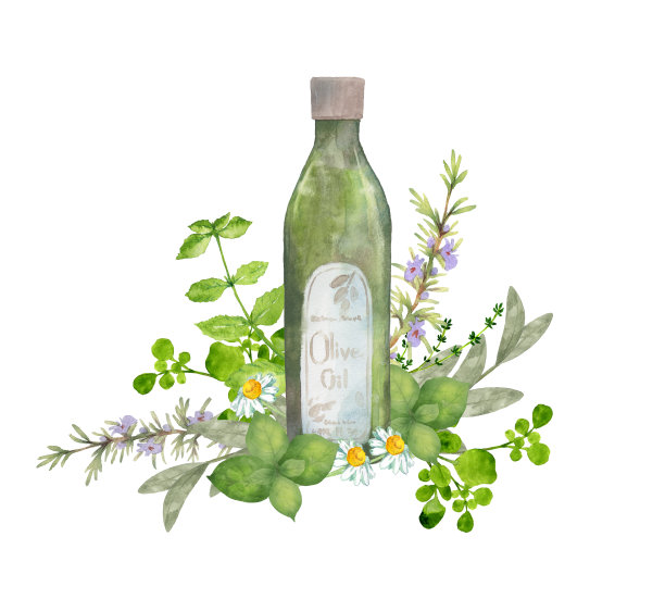 水彩橄榄油和香草图片下载