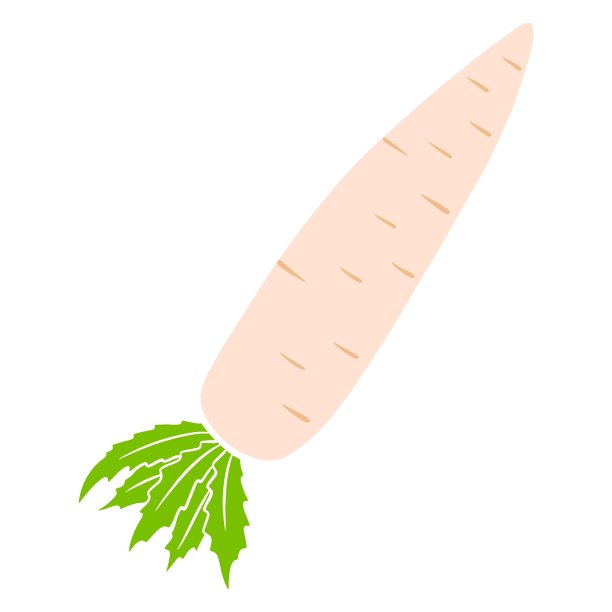 新鲜的萝卜。日本萝卜。原料的菜肴。图片下载