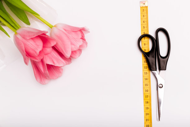 三八国际妇女节贺卡。关于缝纫和针线活的博客布局。白色背景上的粉色郁金香，剪子框在厘米胶带上的8号。礼券图片下载