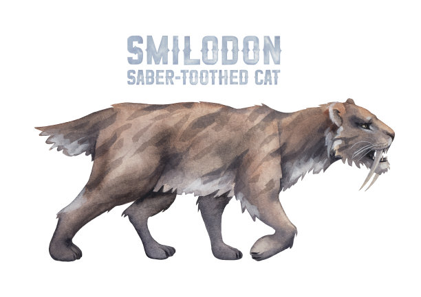 水彩剑齿猫孤立在白色背景上。图片下载