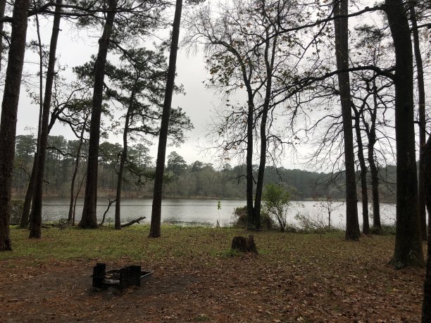 森林露营区与湖的背景图片下载