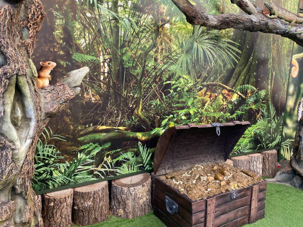 森林里的木制宝箱图片下载