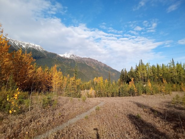 秋天的颜色图片下载