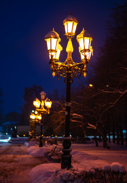 灯笼夜雪树图片下载