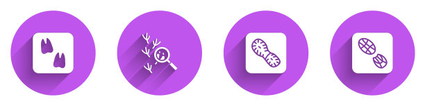 设置骆驼爪印，鸟，人的脚印鞋和图标与长阴影。向量图片下载