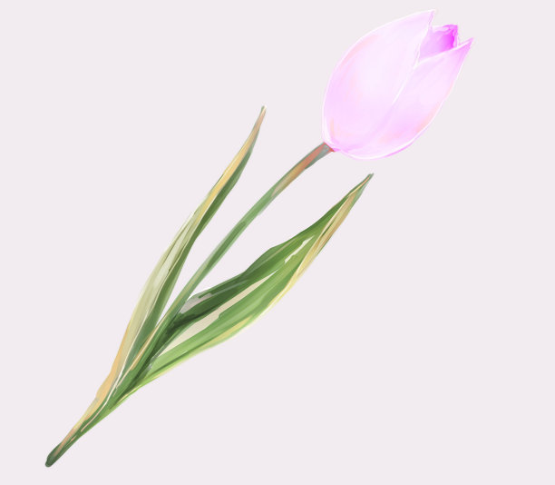 复古和可爱的郁金香插图图片下载