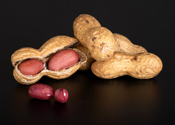 几颗孤立在黑色背景上的花生图片下载