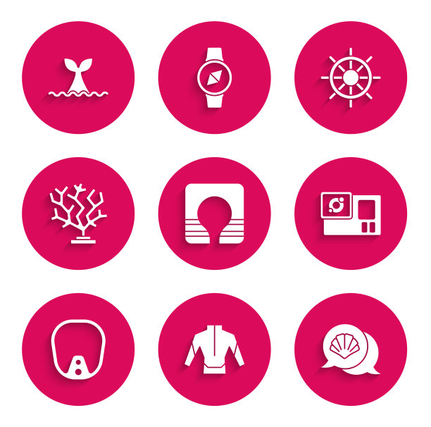 救生衣，潜水服，扇贝贝壳图片下载