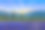 油画作品以法国普罗旺斯的自然景观为艺术背景，画有紫罗兰薰衣草田、黄色太阳花、高大的柏树和山上的太阳。云画莫奈花纹理艺术背景。图片下载