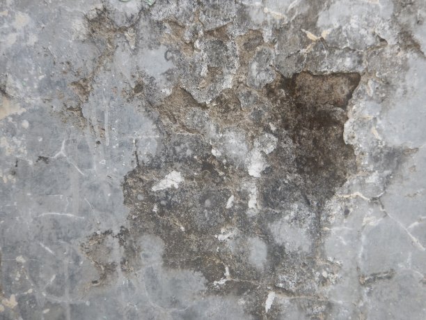 破碎的白色墙壁上长满了霉菌图片下载