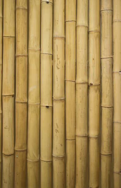 竹植物整齐地排列在墙上，有漂亮的图案，制作壁纸、室内装饰、插图图案。图片下载