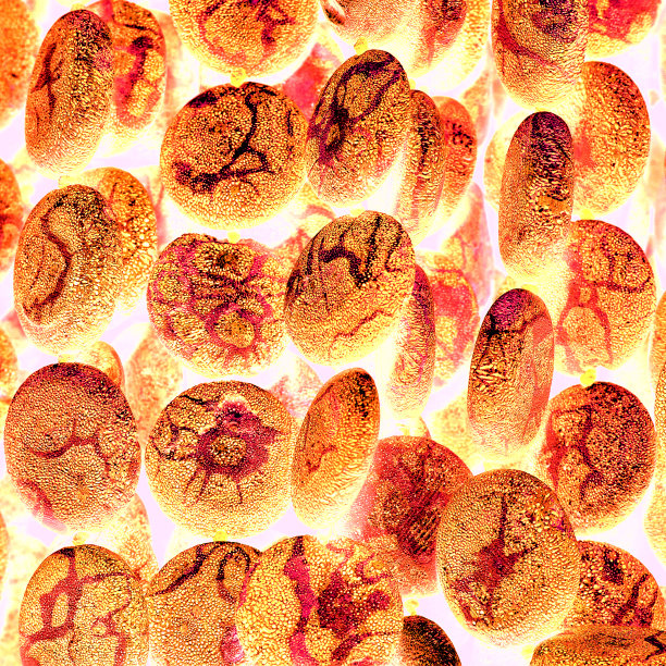 炽热的石头在火流中靠近作为背景或旗帜图片下载